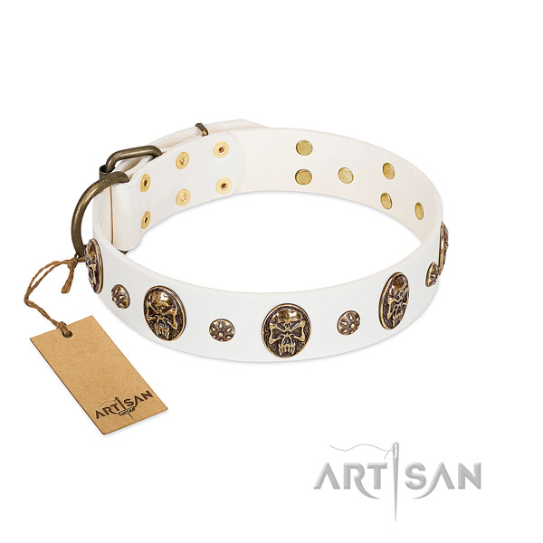 Extraordinary genuine leather collar for your four-legged friend