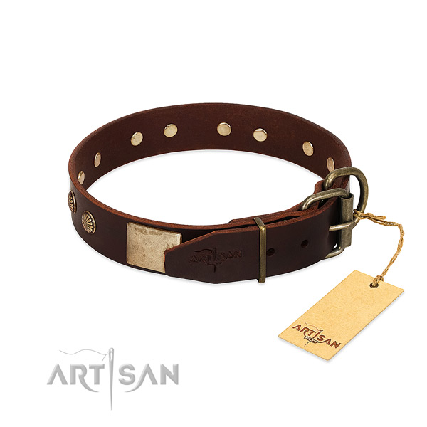 Durable embellishments on walking dog collar