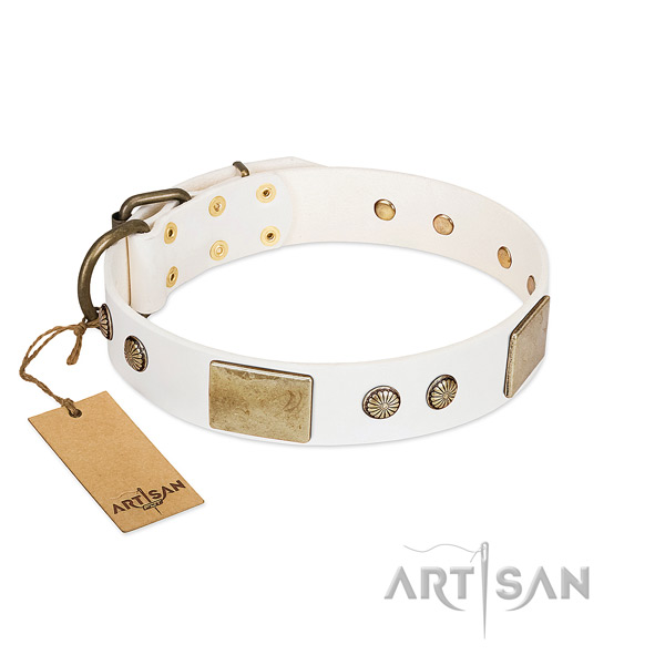 Easy to adjust leather dog collar for walking your doggie