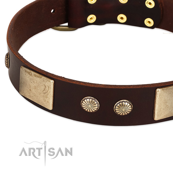 Reliable buckle on genuine leather dog collar for your dog