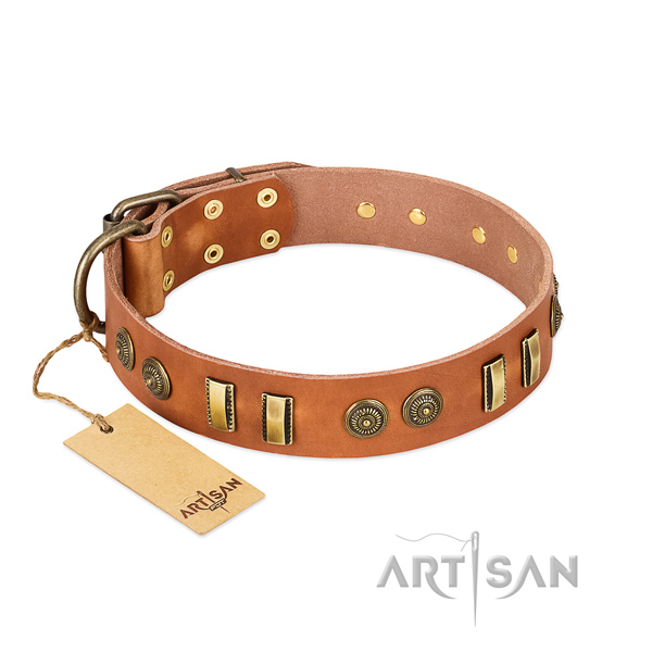 Corrosion proof adornments on genuine leather dog collar for your canine