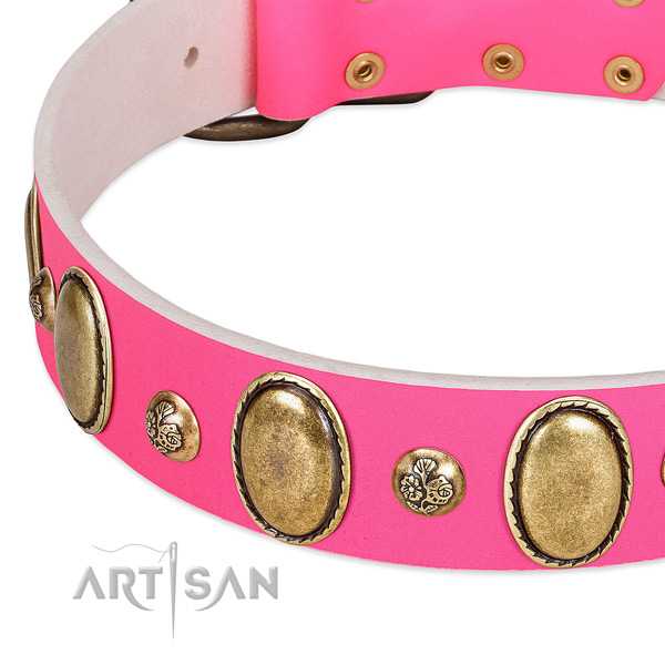 Full grain leather dog collar with awesome decorations
