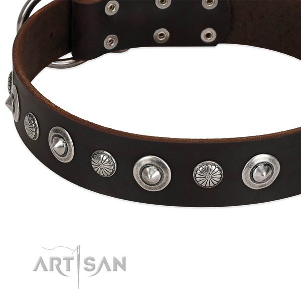 Fashionable studded dog collar of fine quality full grain natural leather