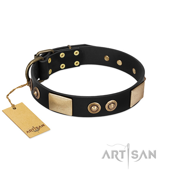 Easy to adjust full grain genuine leather dog collar for everyday walking your dog