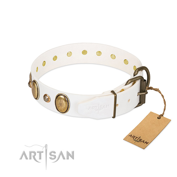 Everyday use full grain genuine leather dog collar