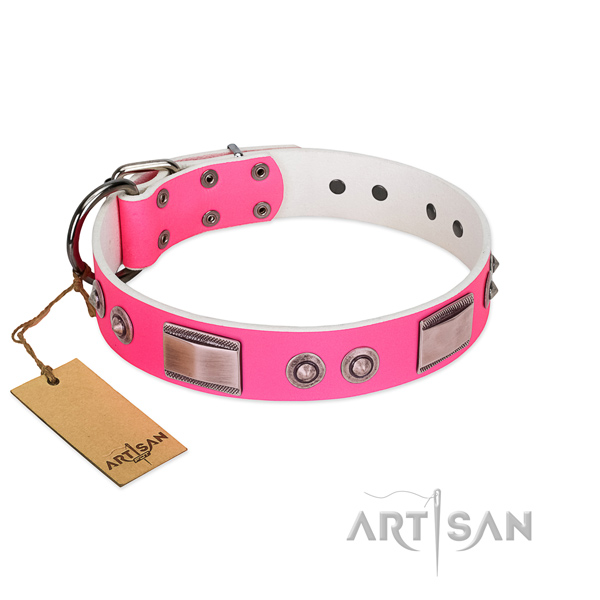Remarkable natural leather collar with studs for your four-legged friend