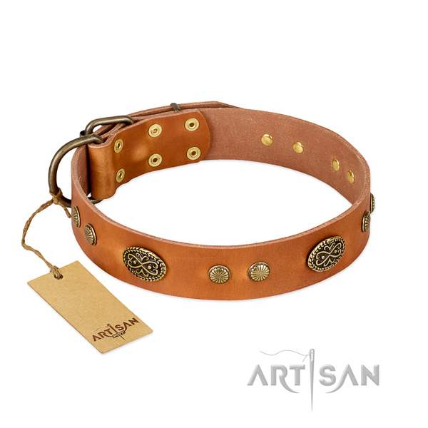 Corrosion resistant decorations on full grain natural leather dog collar for your four-legged friend