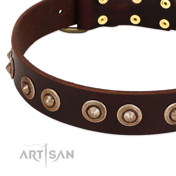 Reliable buckle on genuine leather dog collar for your canine