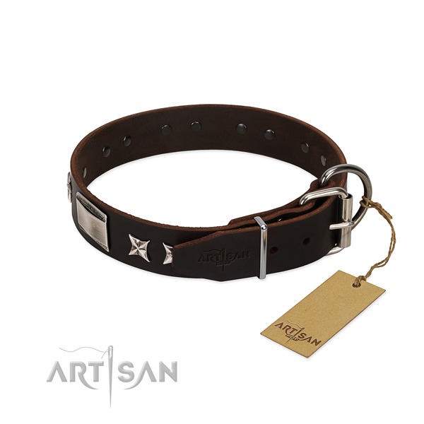 Top quality collar of full grain natural leather for your impressive canine