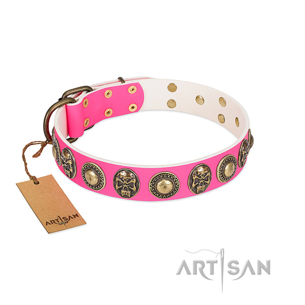 Easy wearing full grain genuine leather dog collar for stylish walking your canine