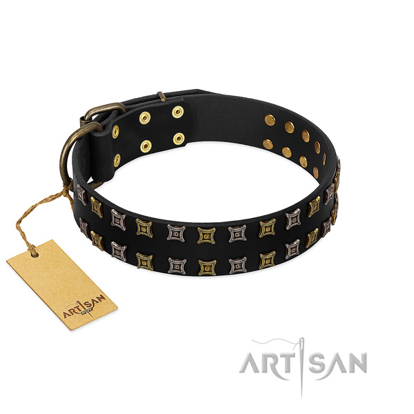Soft to touch full grain leather dog collar with embellishments for your doggie