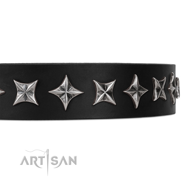 Stylish walking studded dog collar of top notch natural leather