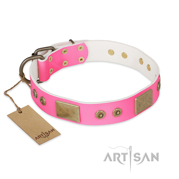 Top notch genuine leather dog collar for daily walking