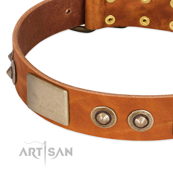 Rust resistant D-ring on full grain leather dog collar for your canine