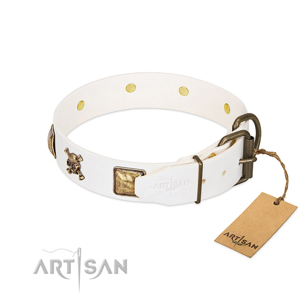 Remarkable natural leather dog collar with strong adornments