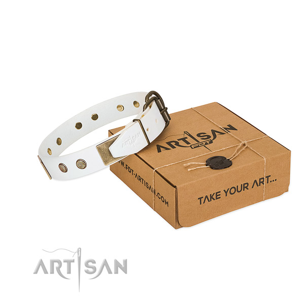 Reliable hardware on dog collar for basic training