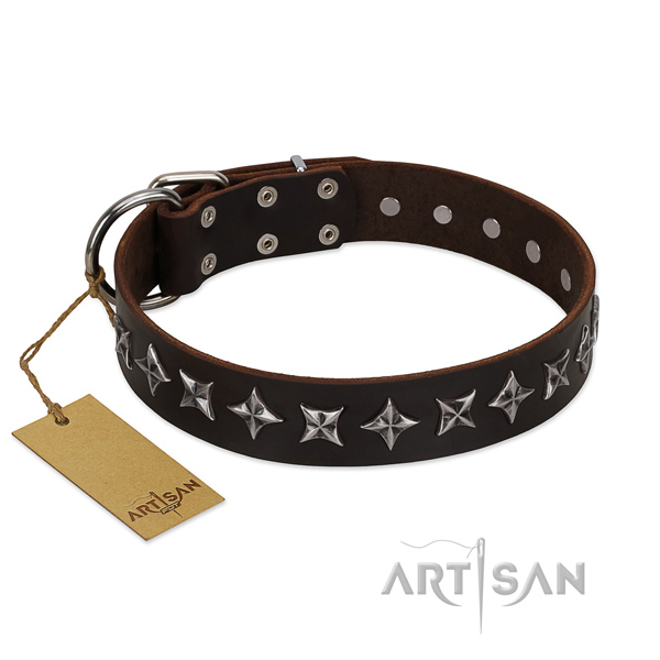 Basic training dog collar of finest quality full grain natural leather with adornments