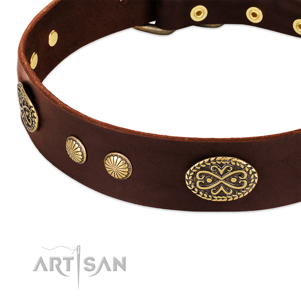 Rust-proof decorations on full grain natural leather dog collar for your pet