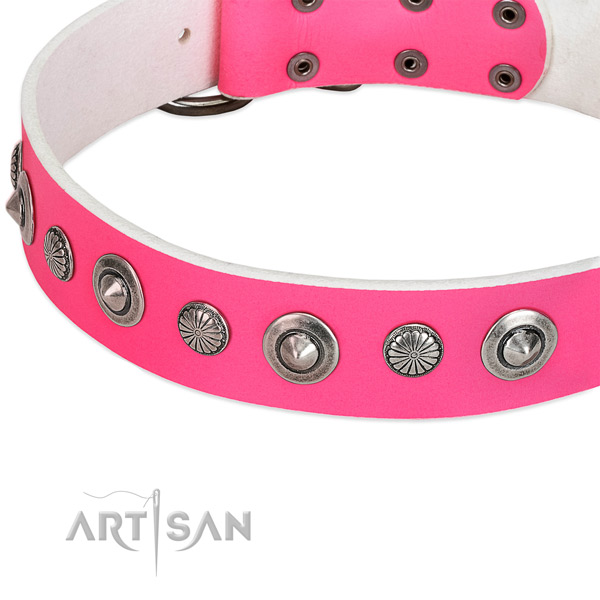 Natural leather collar with reliable buckle for your impressive dog