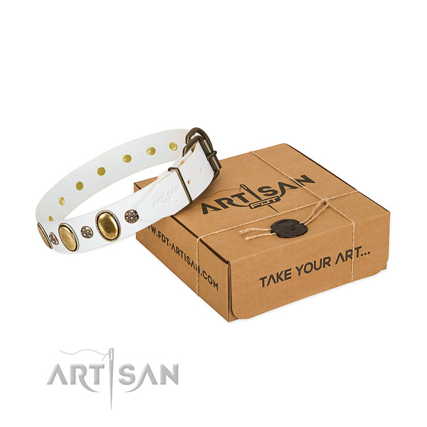 Everyday walking soft to touch full grain leather dog collar with studs