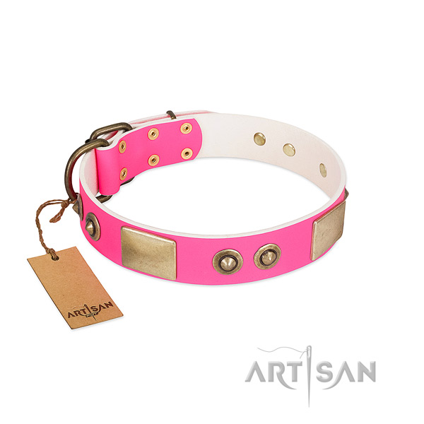 Rust resistant buckle on full grain natural leather dog collar for your pet