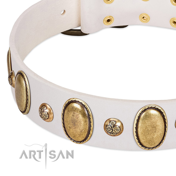 Leather dog collar with exceptional studs