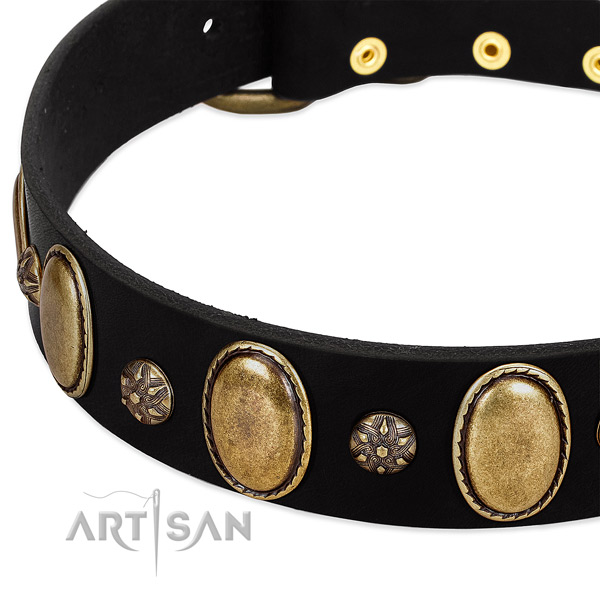 Walking high quality full grain leather dog collar
