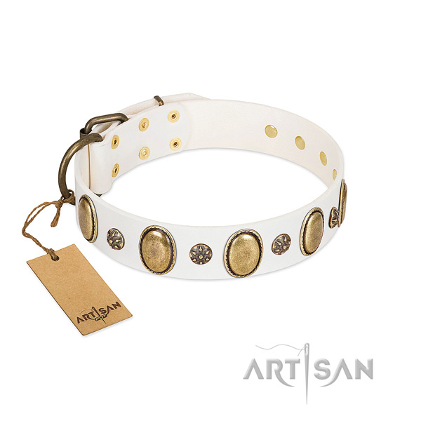 Everyday use top notch leather dog collar with studs