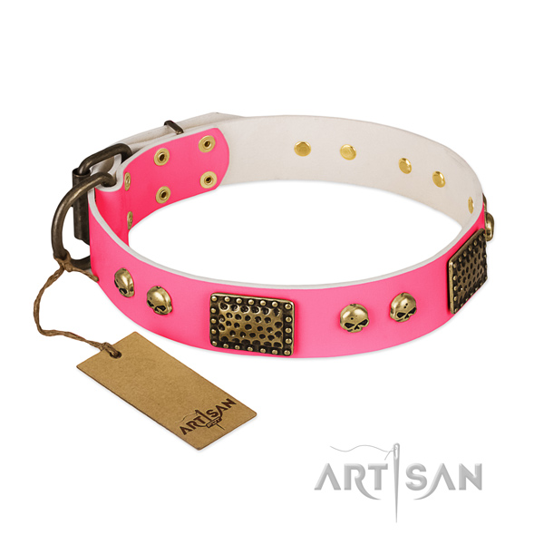 Adjustable leather dog collar for daily walking your dog