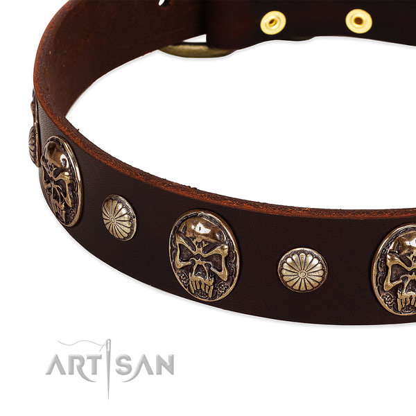 Full grain natural leather dog collar with decorations for everyday use