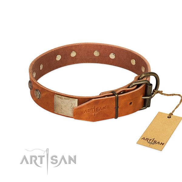 Corrosion resistant decorations on walking dog collar