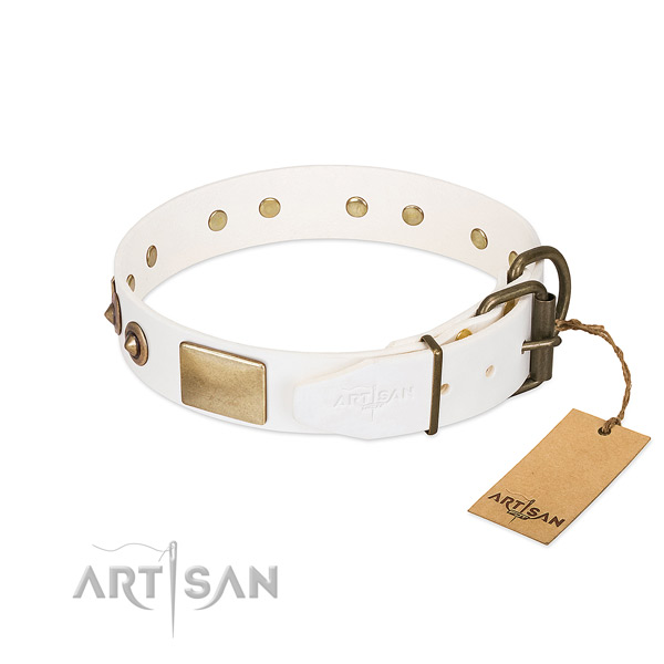 Strong studs on full grain leather dog collar for your doggie