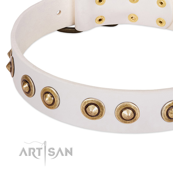 Reliable D-ring on genuine leather dog collar for your doggie