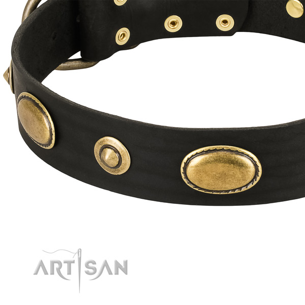 Strong D-ring on leather dog collar for your four-legged friend