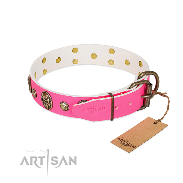 Corrosion proof traditional buckle on leather dog collar for your pet