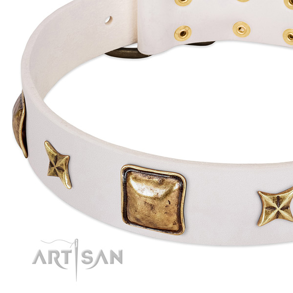 Durable traditional buckle on full grain natural leather dog collar for your dog