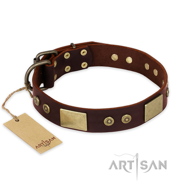 Top notch full grain leather dog collar for stylish walking
