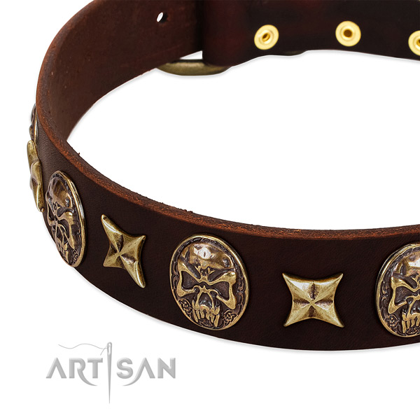 Strong traditional buckle on genuine leather dog collar for your four-legged friend