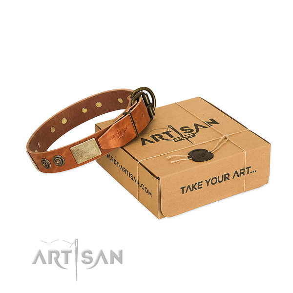 Corrosion resistant fittings on genuine leather dog collar for everyday use