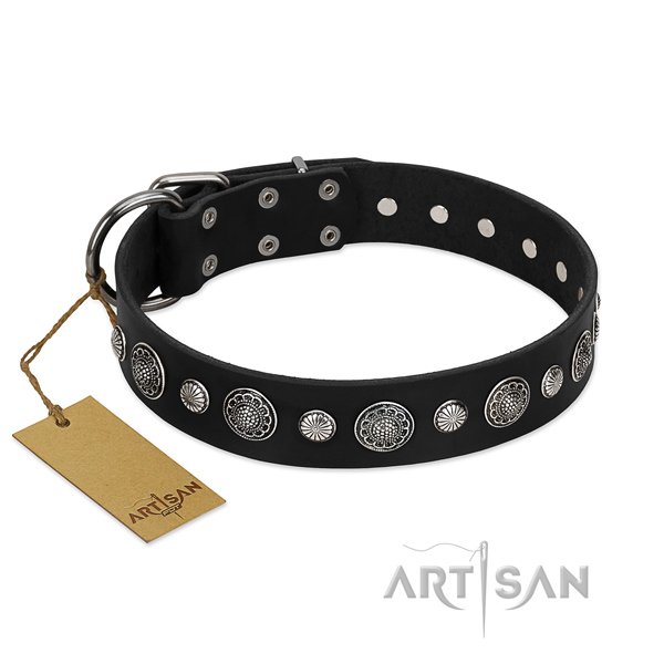 Finest quality full grain leather dog collar with incredible decorations
