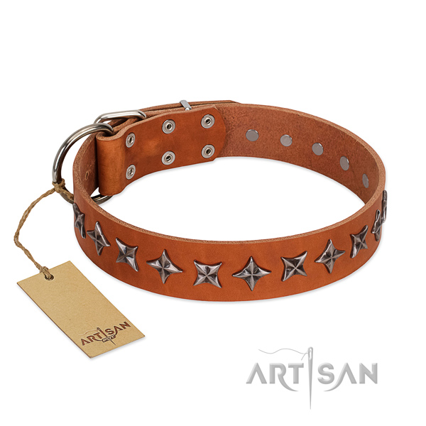 Everyday use dog collar of durable full grain leather with embellishments