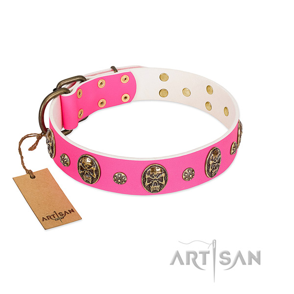Awesome full grain leather dog collar for everyday use