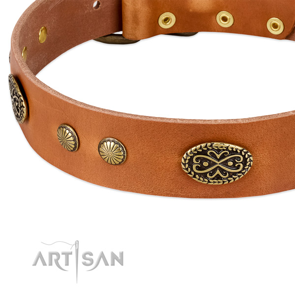 Rust resistant buckle on full grain natural leather dog collar for your doggie