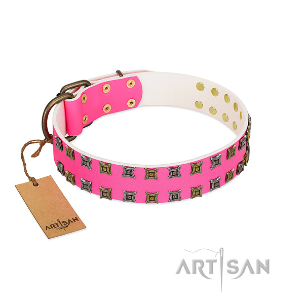Full grain natural leather collar with exceptional adornments for your doggie