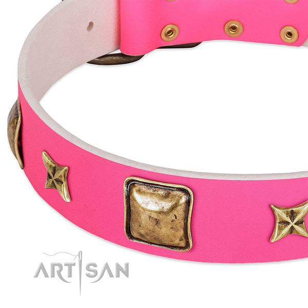 Full grain leather dog collar with stunning decorations