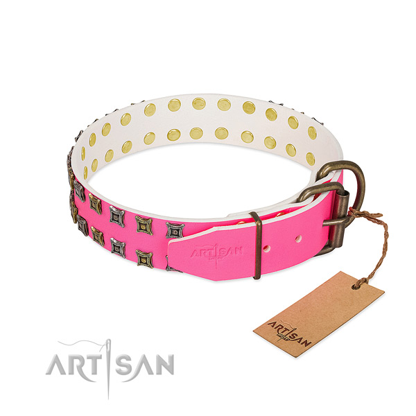Full grain leather collar with stunning adornments for your doggie