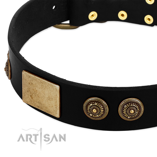 Rust resistant decorations on full grain genuine leather dog collar for your canine