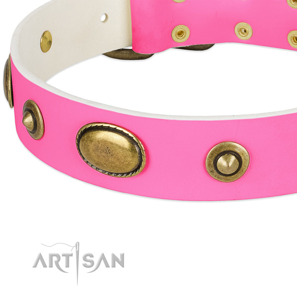 Rust-proof fittings on full grain natural leather dog collar for your canine