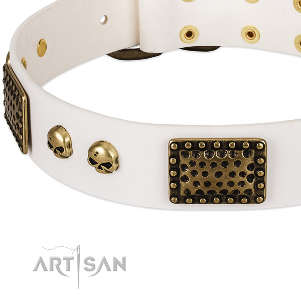 Rust resistant adornments on natural leather dog collar for your four-legged friend