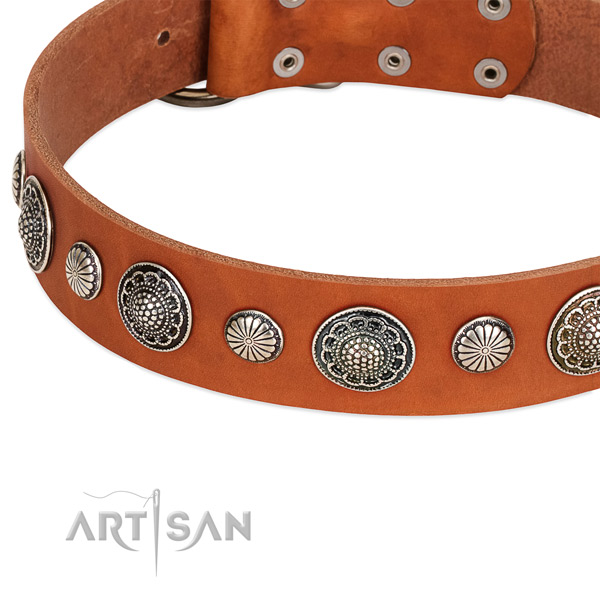 Full grain leather collar with reliable D-ring for your lovely four-legged friend